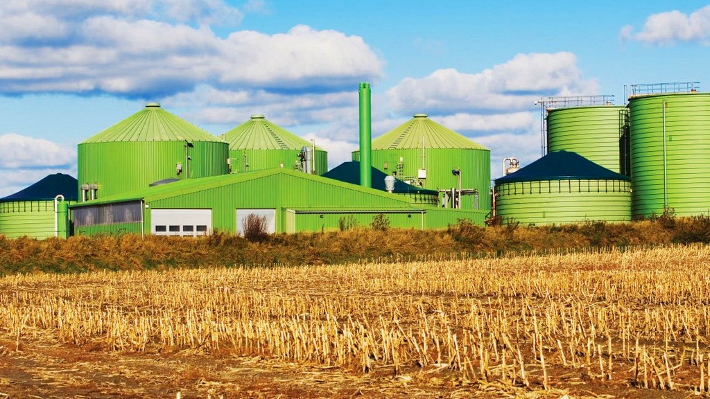 Sector energético - Energía de biomasa