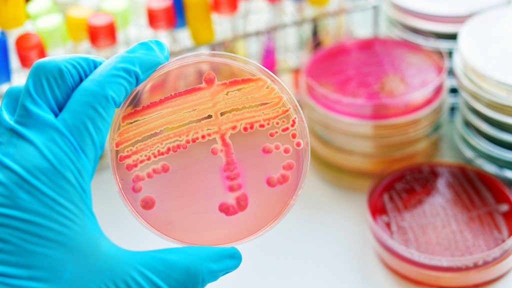 Pruebas de microbiología - Salmonella (USP 31, EUP 2.6.13)