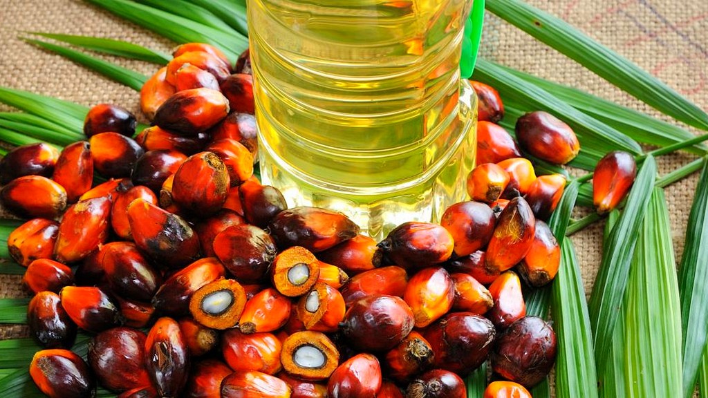 Certificación de aceite de palma sostenible de mesa redonda (RSPO)