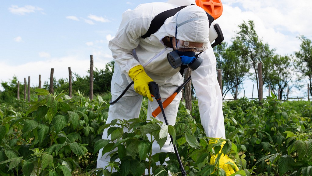 Inspecciones de agroquímicos y pesticidas